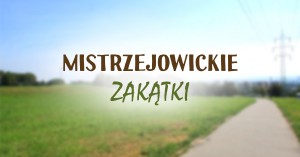 miejsca-w-mistrzejowicach-40